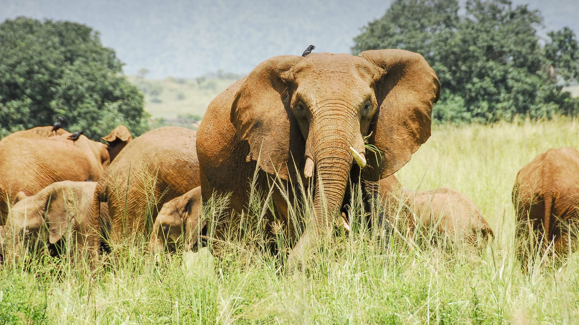kidepo Valley National Park with Mutanda Tours