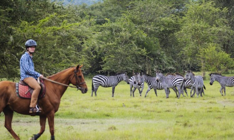 Lake Mburo National Park with Mutanda Tours