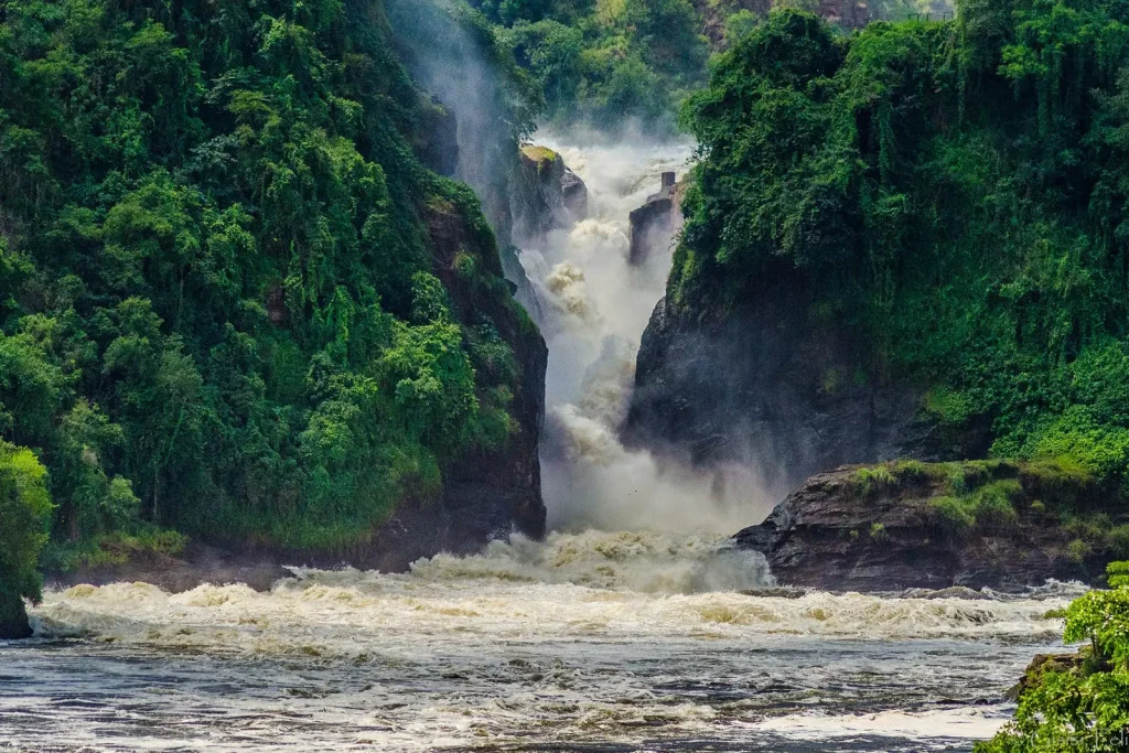 Murchison Falls National Park Uganda with Mutanda Tours 12 Days Best of Uganda