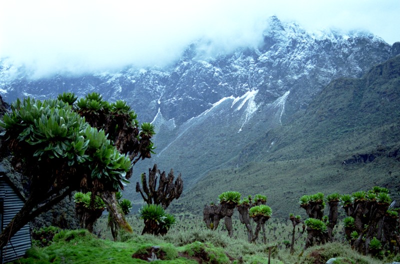 Rwenzori Mountains National Park with Mutanda Tours
