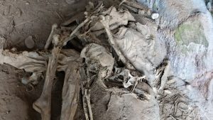 Culture tourism in Kisoro District Uganda