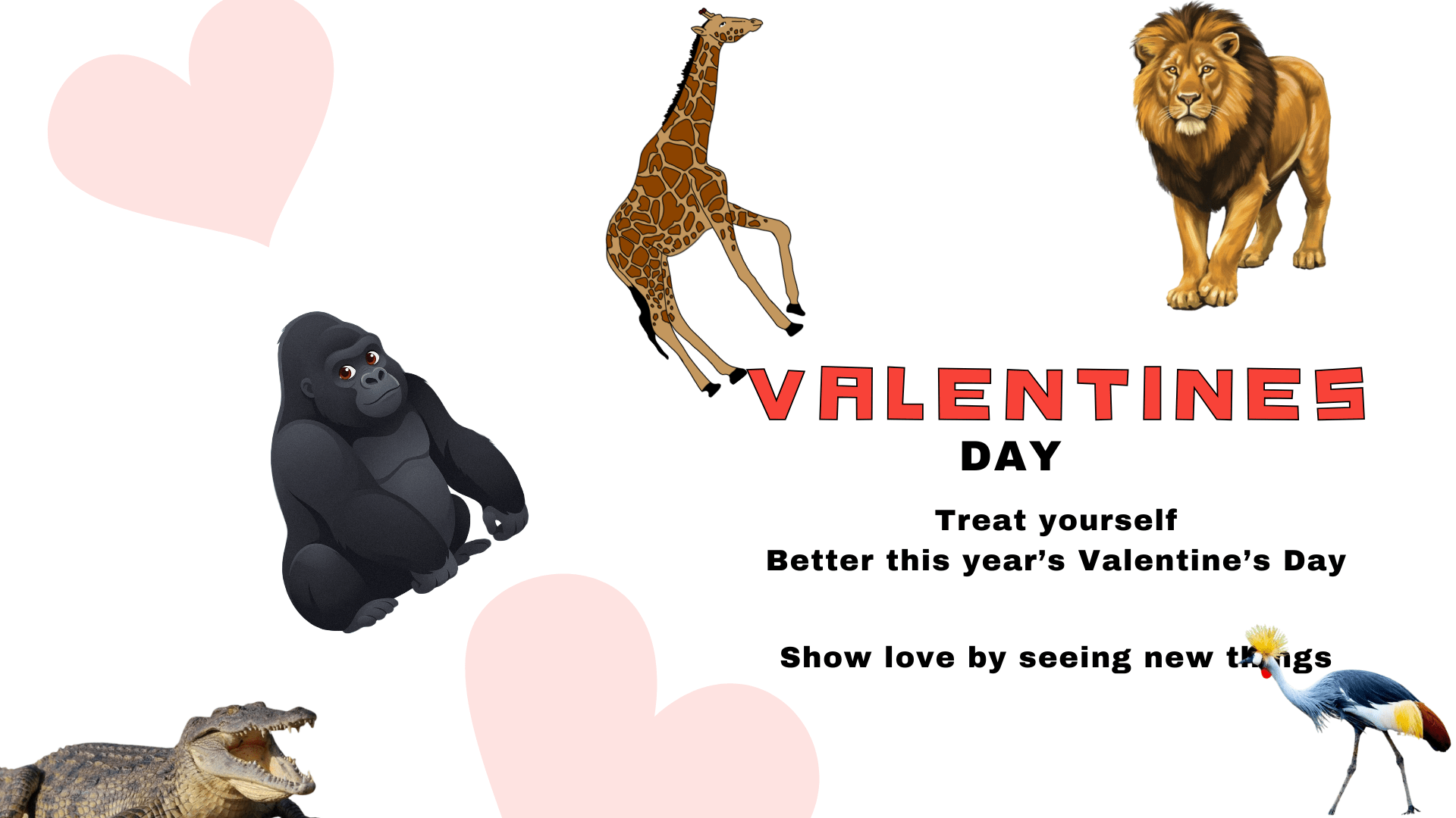A romantic safari in Uganda on Valentine's Day