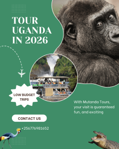 Why visit Uganda in 2026